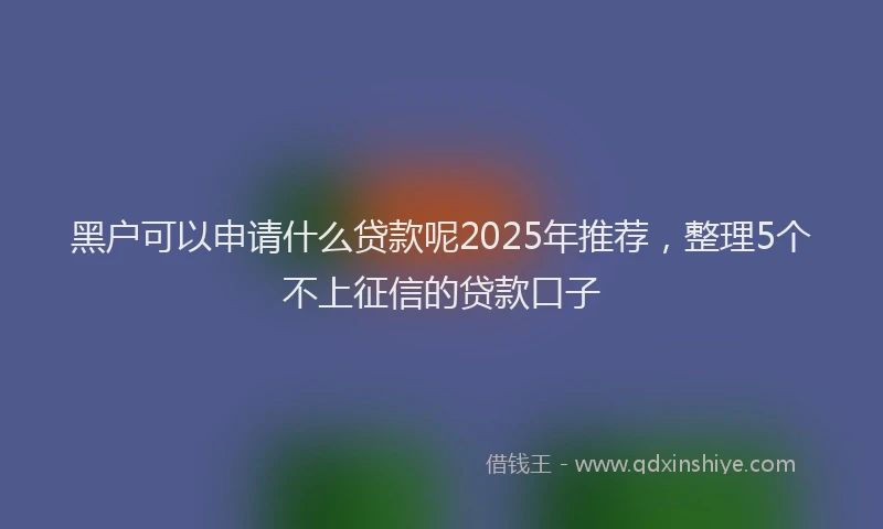 黑户可以申请什么贷款呢2025年推荐，整理5个不上征信的贷款口子