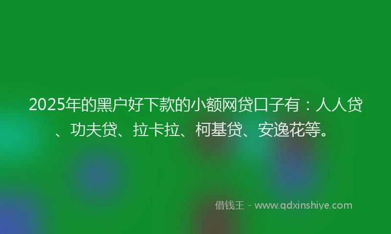 2025年的黑户好下款的小额网贷口子有：人人贷、功夫贷、拉卡拉、柯基贷、安逸花等。