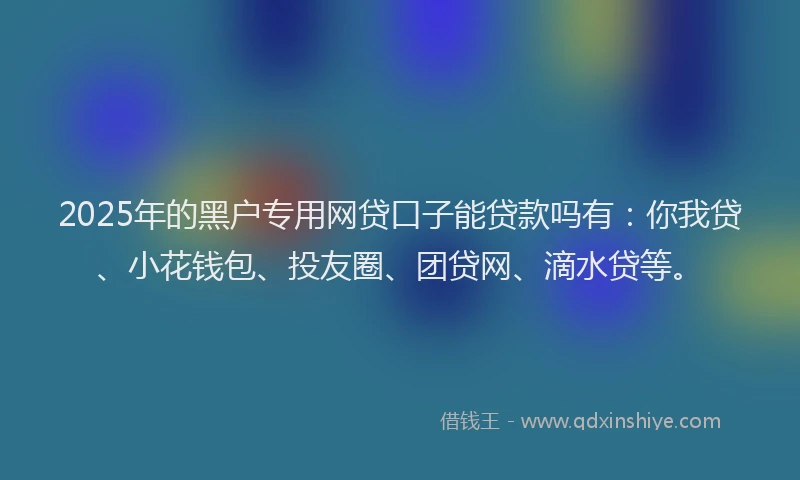2025年的黑户专用网贷口子能贷款吗有：你我贷、小花钱包、投友圈、团贷网、滴水贷等。