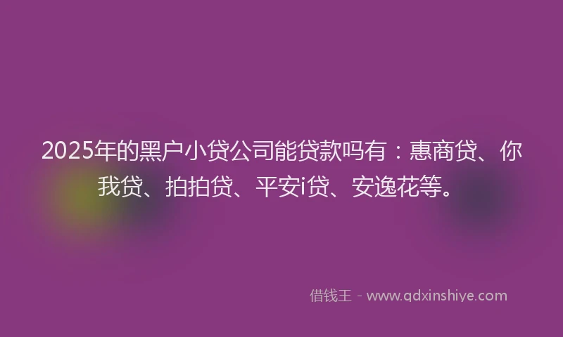 2025年的黑户小贷公司能贷款吗有：惠商贷、你我贷、拍拍贷、平安i贷、安逸花等。