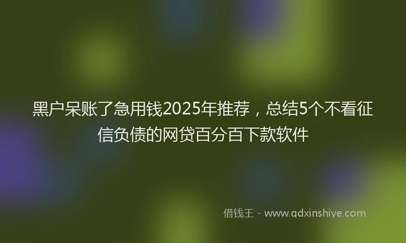 黑户呆账了急用钱2025年推荐，总结5个不看征信负债的网贷百分百下款软件