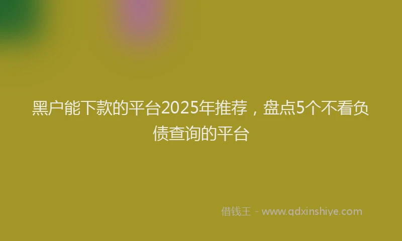 黑户能下款的平台2025年推荐，盘点5个不看负债查询的平台