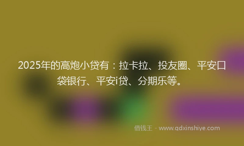 2025年的高炮小贷有：拉卡拉、投友圈、平安口袋银行、平安i贷、分期乐等。