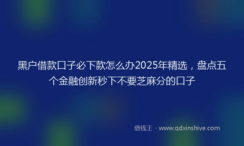 黑户借款口子必下款怎么办2025年精选，盘点五个金融创新秒下不要芝麻分的口子
