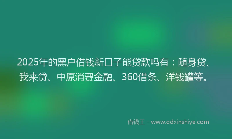 2025年的黑户借钱新口子能贷款吗有：随身贷、我来贷、中原消费金融、360借条、洋钱罐等。