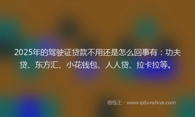 2025年的驾驶证贷款不用还是怎么回事有:功夫贷、东方汇、小花钱包、人人贷、拉卡拉等。
