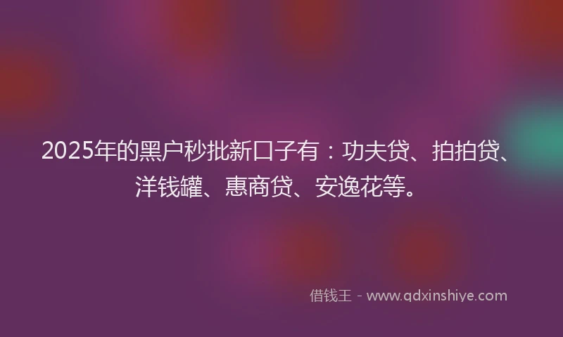 2025年的黑户秒批新口子有：功夫贷、拍拍贷、洋钱罐、惠商贷、安逸花等。