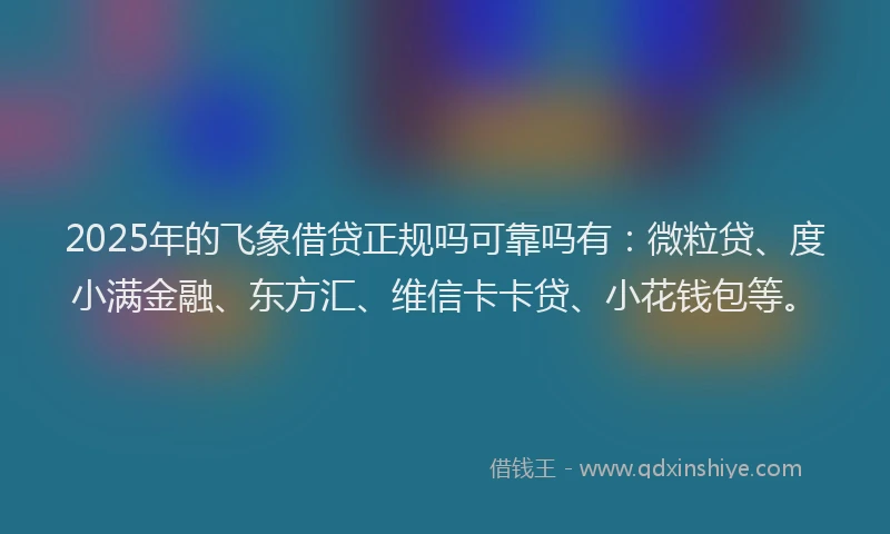 2025年的飞象借贷正规吗可靠吗有：微粒贷、度小满金融、东方汇、维信卡卡贷、小花钱包等。