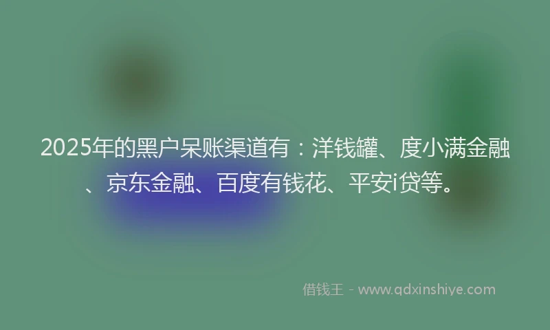 2025年的黑户呆账渠道有：洋钱罐、度小满金融、京东金融、百度有钱花、平安i贷等。