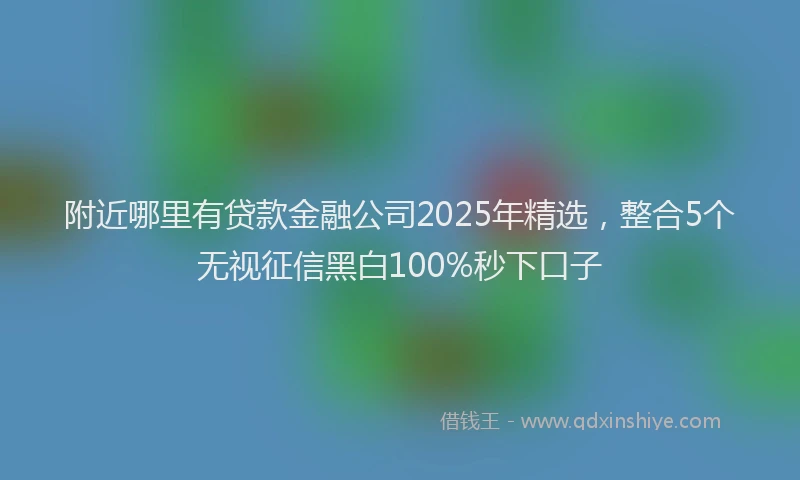 附近哪里有贷款金融公司2025年精选，整合5个无视征信黑白100%秒下口子