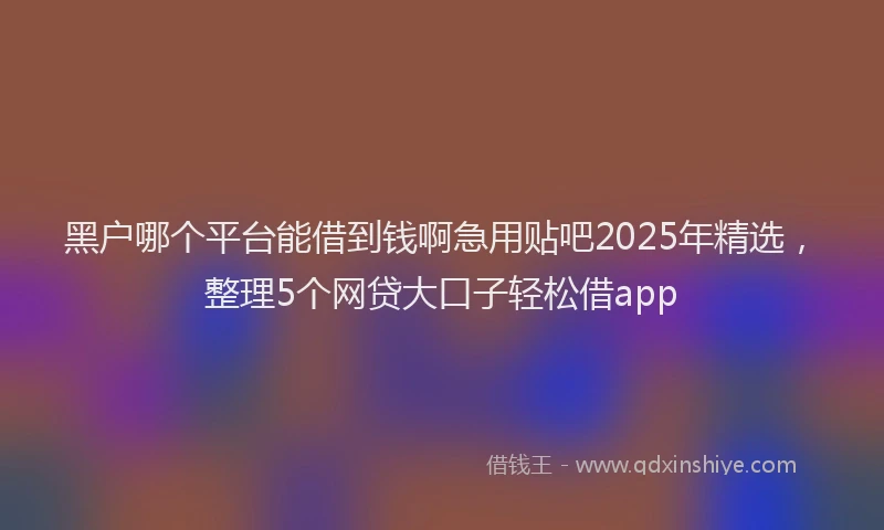 黑户哪个平台能借到钱啊急用贴吧2025年精选，整理5个网贷大口子轻松借app