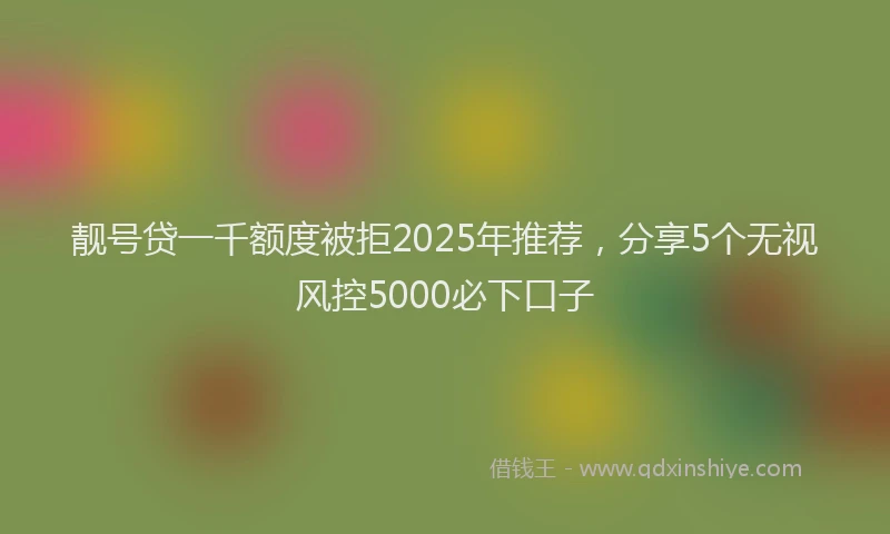 靓号贷一千额度被拒2025年推荐，分享5个无视风控5000必下口子