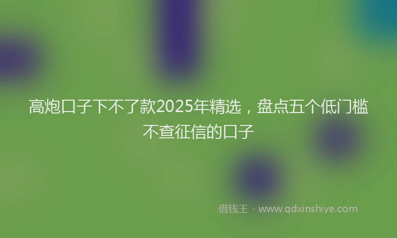 高炮口子下不了款2025年精选，盘点五个低门槛不查征信的口子