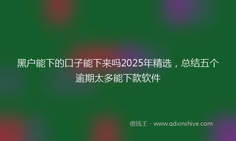 黑户能下的口子能下来吗2025年精选，总结五个逾期太多能下款软件