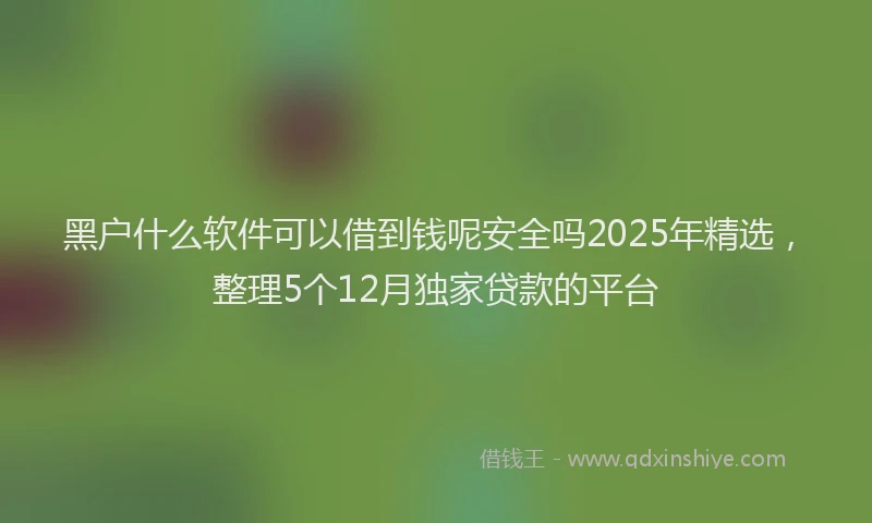 黑户什么软件可以借到钱呢安全吗2025年精选，整理5个12月独家贷款的平台