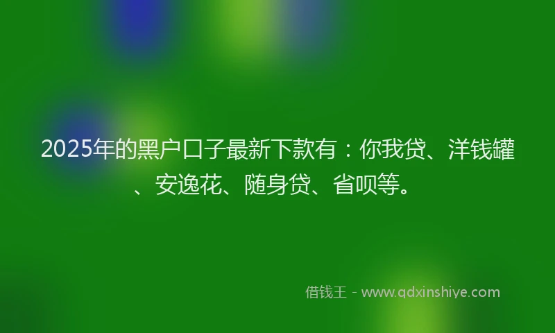 2025年的黑户口子最新下款有：你我贷、洋钱罐、安逸花、随身贷、省呗等。