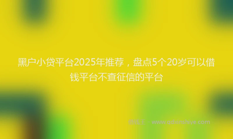 黑户小贷平台2025年推荐，盘点5个20岁可以借钱平台不查征信的平台