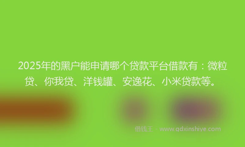 2025年的黑户能申请哪个贷款平台借款有：微粒贷、你我贷、洋钱罐、安逸花、小米贷款等。