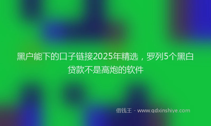 黑户能下的口子链接2025年精选，罗列5个黑白贷款不是高炮的软件