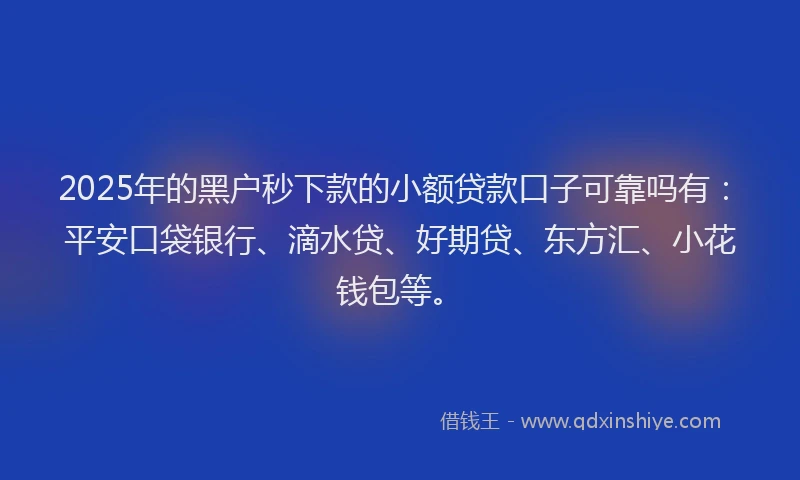 2025年的黑户秒下款的小额贷款口子可靠吗有：平安口袋银行、滴水贷、好期贷、东方汇、小花钱包等。