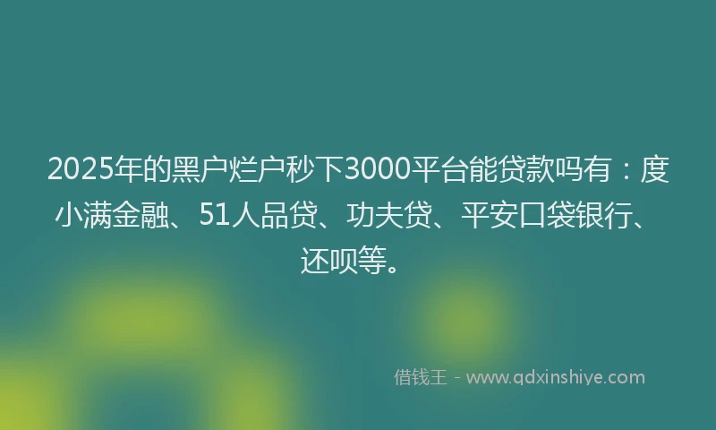 2025年的黑户烂户秒下3000平台能贷款吗有：度小满金融、51人品贷、功夫贷、平安口袋银行、还呗等。