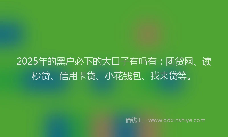 2025年的黑户必下的大口子有吗有：团贷网、读秒贷、信用卡贷、小花钱包、我来贷等。