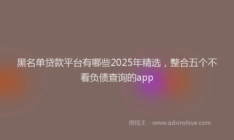 黑名单贷款平台有哪些2025年精选，整合五个不看负债查询的app
