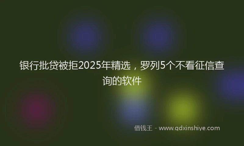 银行批贷被拒2025年精选，罗列5个不看征信查询的软件