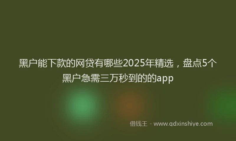 黑户能下款的网贷有哪些2025年精选，盘点5个黑户急需三万秒到的的app