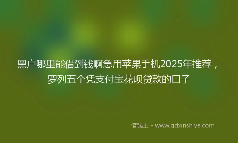 黑户哪里能借到钱啊急用苹果手机2025年推荐，罗列五个凭支付宝花呗贷款的口子