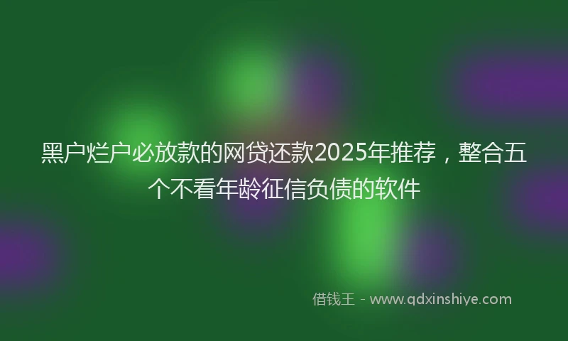 黑户烂户必放款的网贷还款2025年推荐，整合五个不看年龄征信负债的软件