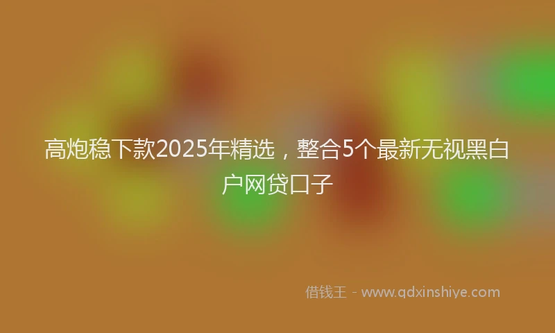 高炮稳下款2025年精选，整合5个最新无视黑白户网贷口子
