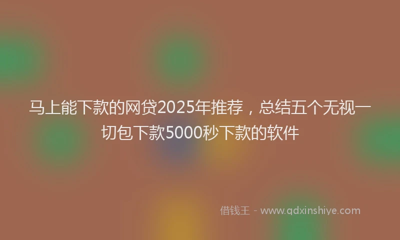 马上能下款的网贷2025年推荐，总结五个无视一切包下款5000秒下款的软件