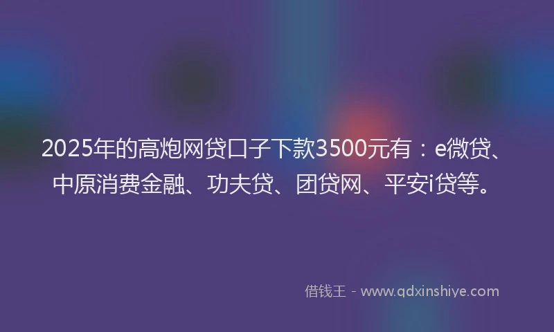 2025年的高炮网贷口子下款3500元有：e微贷、中原消费金融、功夫贷、团贷网、平安i贷等。