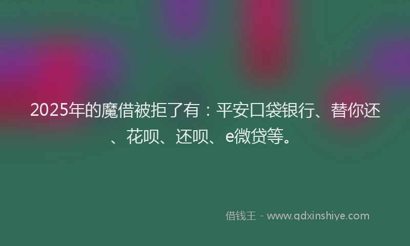 2025年的魔借被拒了有：平安口袋银行、替你还、花呗、还呗、e微贷等。