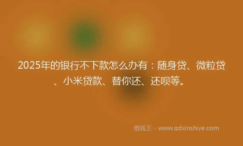 2025年的银行不下款怎么办有：随身贷、微粒贷、小米贷款、替你还、还呗等。