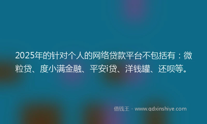 2025年的针对个人的网络贷款平台不包括有：微粒贷、度小满金融、平安i贷、洋钱罐、还呗等。