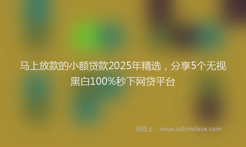 马上放款的小额贷款2025年精选，分享5个无视黑白100%秒下网贷平台