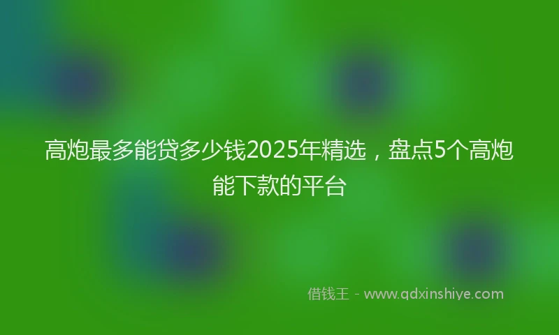 高炮最多能贷多少钱2025年精选，盘点5个高炮能下款的平台