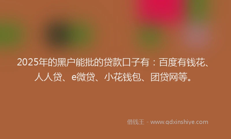 2025年的黑户能批的贷款口子有：百度有钱花、人人贷、e微贷、小花钱包、团贷网等。
