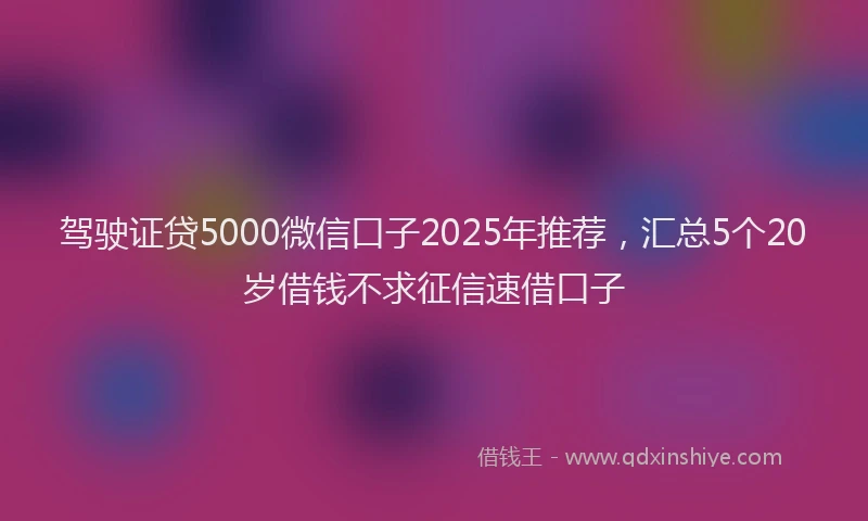 驾驶证贷5000微信口子2025年推荐，汇总5个20岁借钱不求征信速借口子