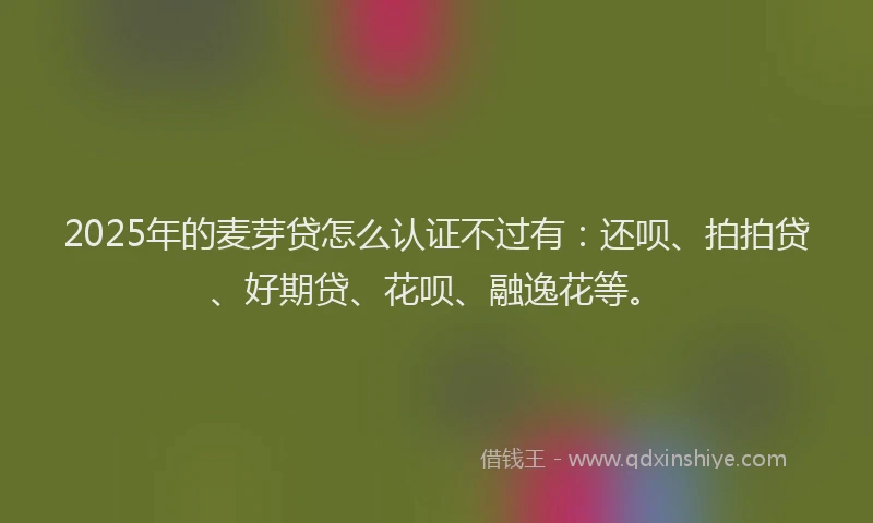 2025年的麦芽贷怎么认证不过有：还呗、拍拍贷、好期贷、花呗、融逸花等。