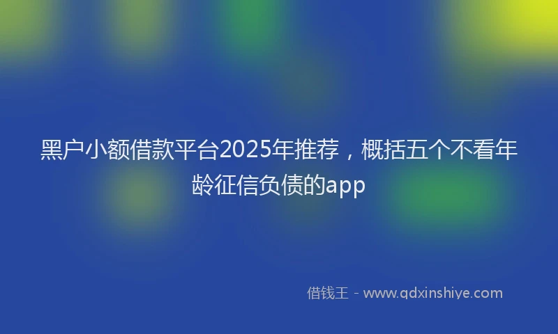 黑户小额借款平台2025年推荐，概括五个不看年龄征信负债的app