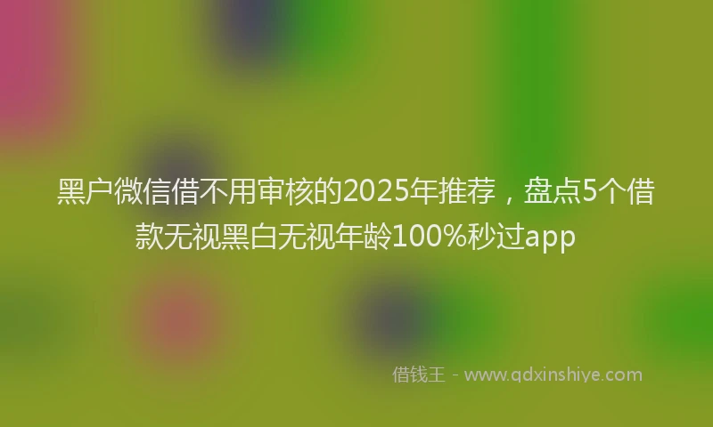 黑户微信借不用审核的2025年推荐，盘点5个借款无视黑白无视年龄100%秒过app