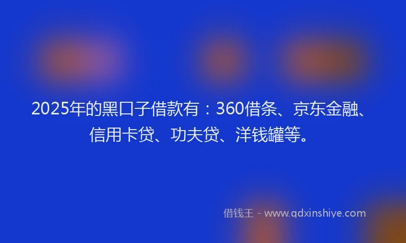 2025年的黑口子借款有：360借条、京东金融、信用卡贷、功夫贷、洋钱罐等。