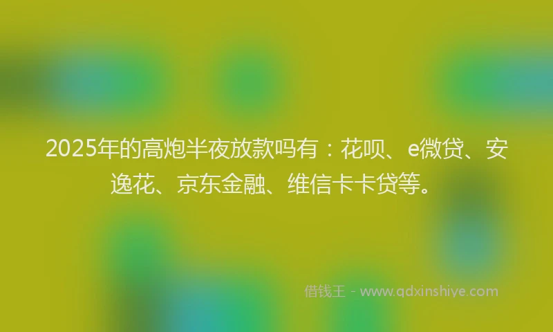 2025年的高炮半夜放款吗有：花呗、e微贷、安逸花、京东金融、维信卡卡贷等。