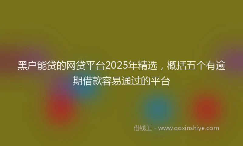 黑户能贷的网贷平台2025年精选，概括五个有逾期借款容易通过的平台