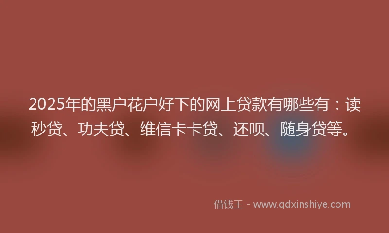 2025年的黑户花户好下的网上贷款有哪些有：读秒贷、功夫贷、维信卡卡贷、还呗、随身贷等。