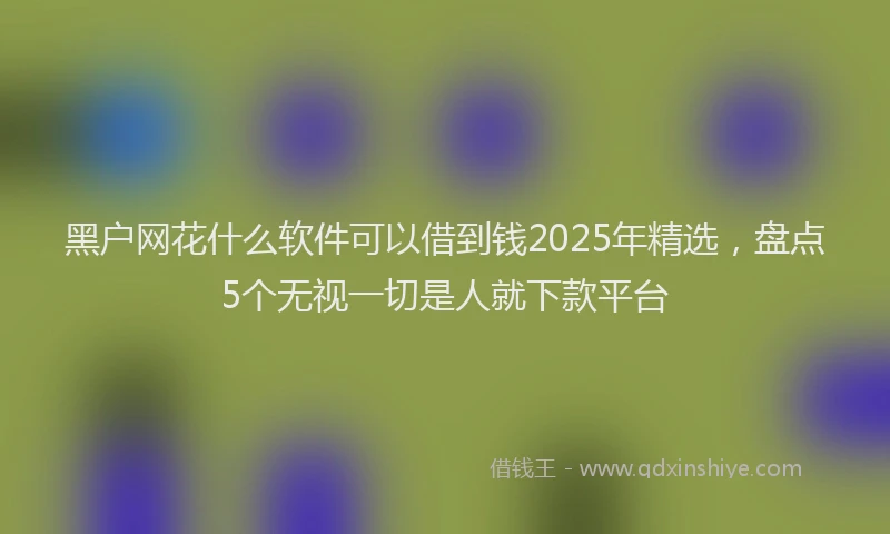 黑户网花什么软件可以借到钱2025年精选，盘点5个无视一切是人就下款平台