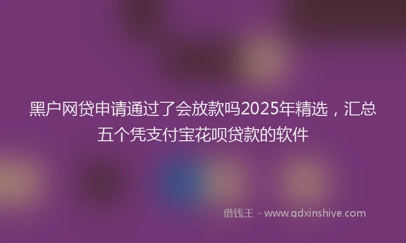 黑户网贷申请通过了会放款吗2025年精选，汇总五个凭支付宝花呗贷款的软件